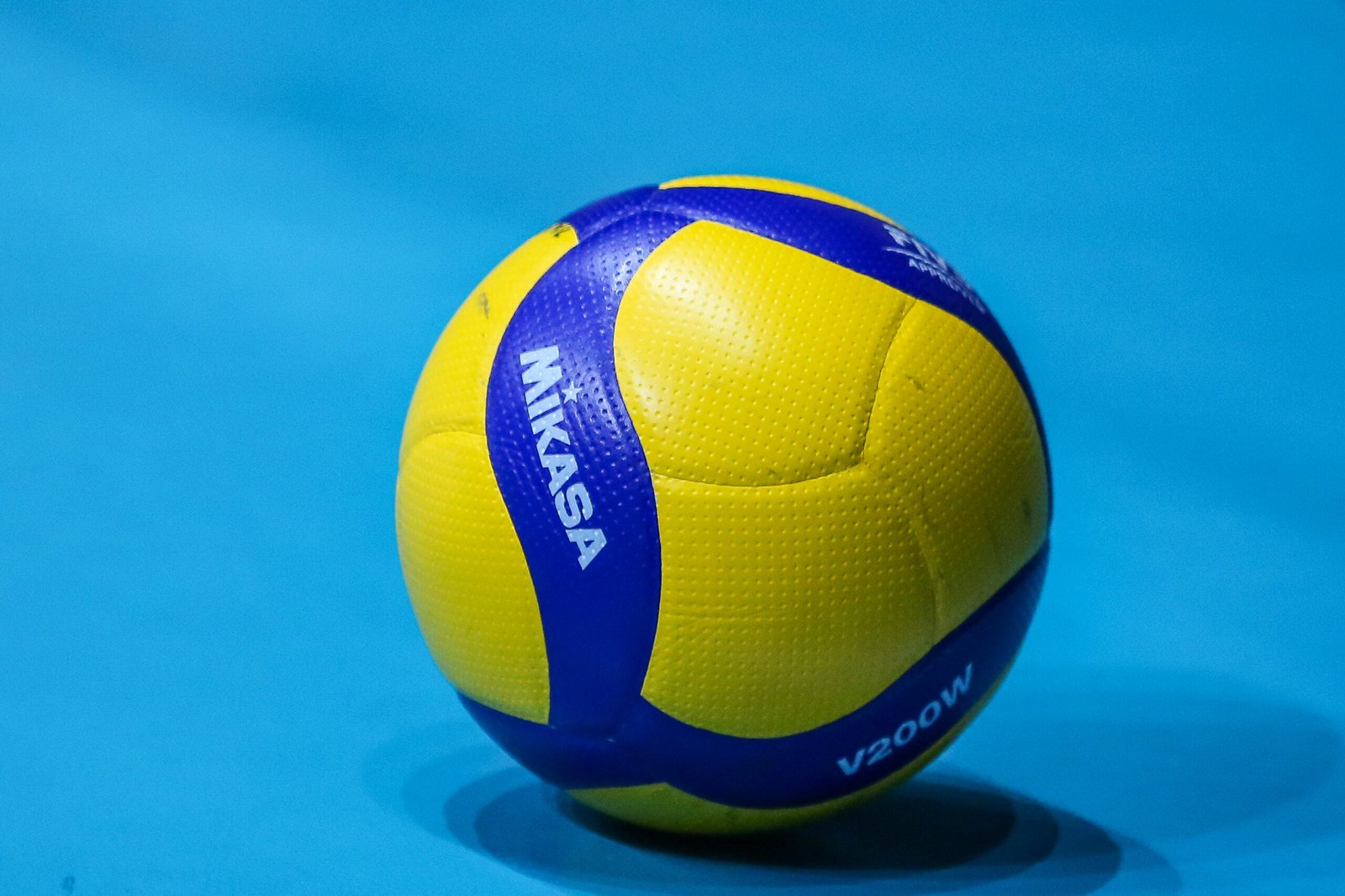 Cabeza, Lady Blazers para clinchers