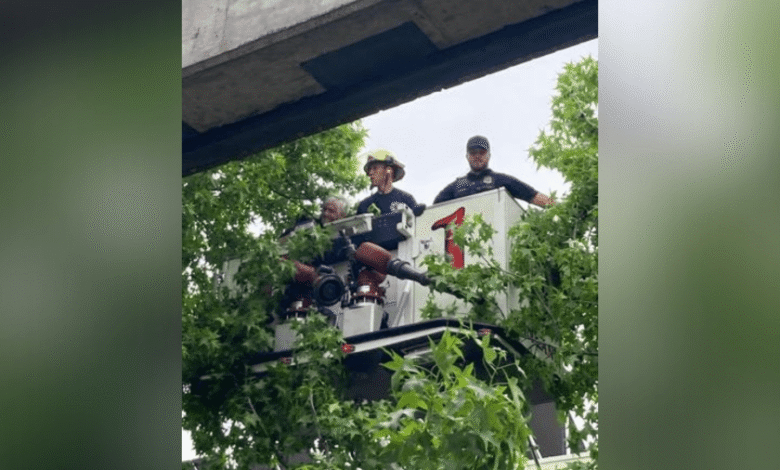 Hombre detenido por cubo de rescate después de negarse a bajar de la azotea de Portland Heliport Hombre detenido por cubo de rescate después de negarse a bajar de la azotea de Portland Heliport
