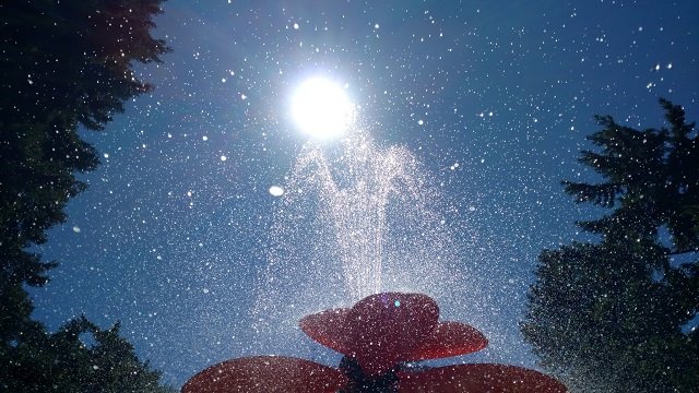 Las altas temperaturas en Portland persisten mientras AMR ve un alto volumen de llamadas, las familias buscan áreas frías