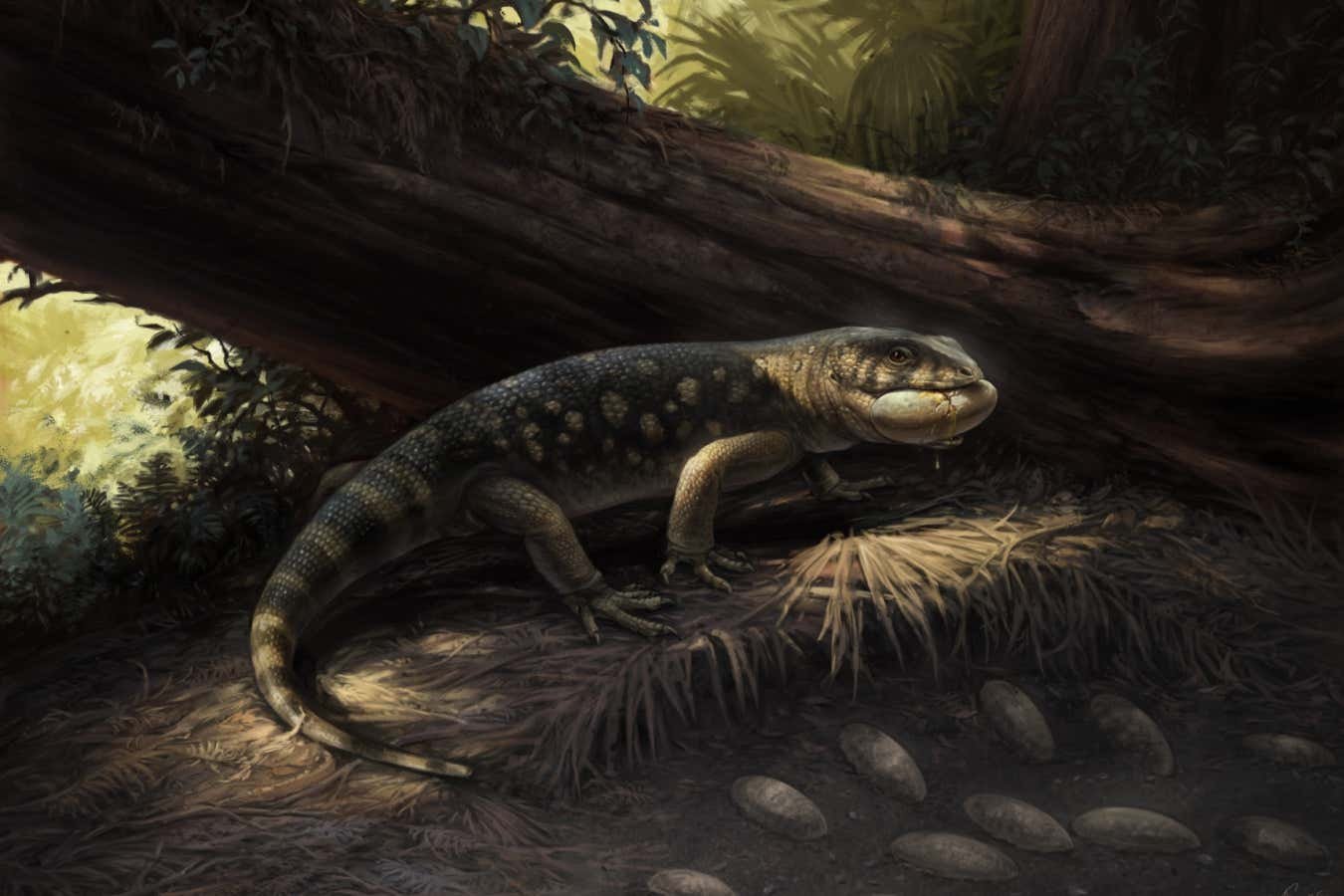 El viejo monstruo era dientes “similares a túneles” y una cola metabólica