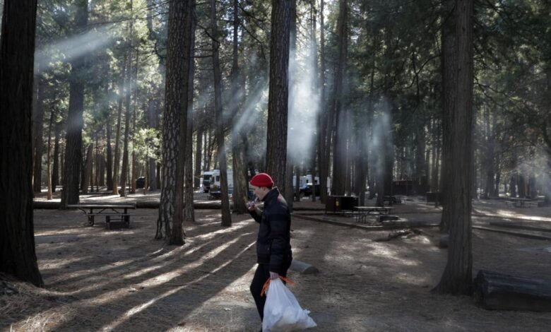 Todos los campamentos de Yosemite estarán abiertos este verano