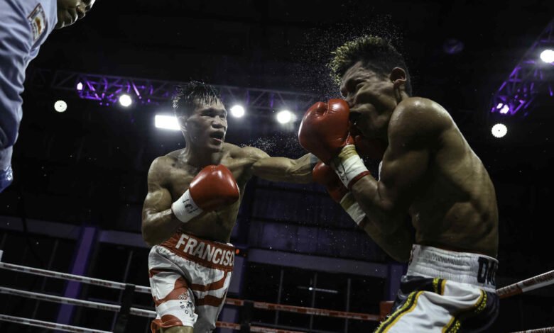 Francisco Stops Dalalodog, Fly Wight Aircraft Ph