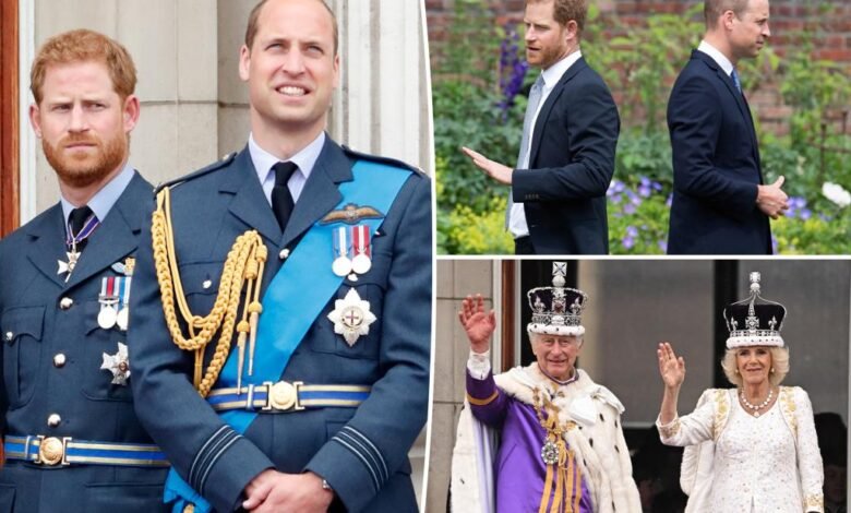 El príncipe Harry está “preocupado” por el posible exilio cuando el príncipe William se convirtió en rey: biografía