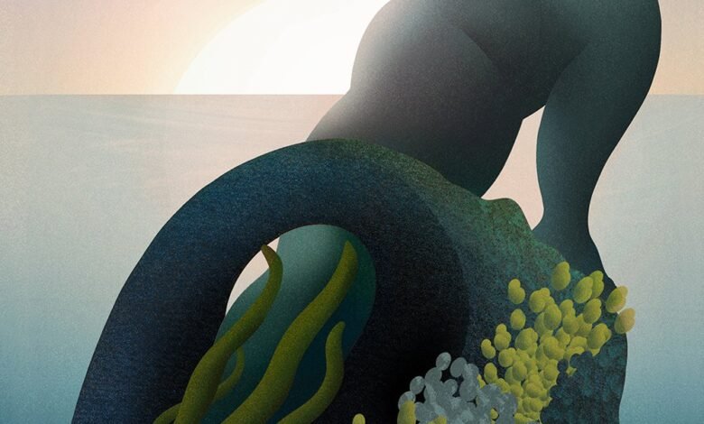 A la ilustradora Hayley Wall le gusta. “El desafío de la destilación de algunas cosas complicadas en una sola imagen”. A la ilustradora Hayley Wall le gusta. “El desafío de la destilación de algunas cosas complicadas en una sola imagen”.