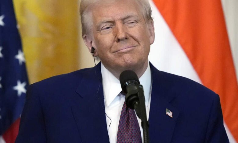 El impacto de Trump, explicó el impacto en el negocio indio. El impacto de Trump, explicó el impacto en el negocio indio.