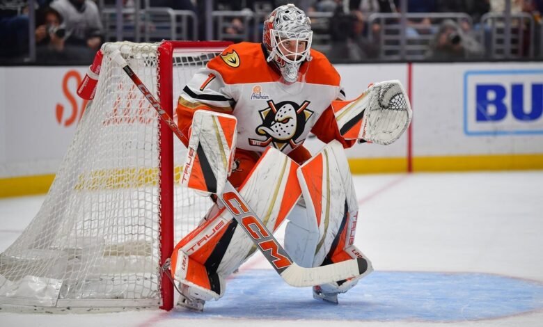 Ducks Ink G Lukas Dostal llegó a un contrato de cinco años