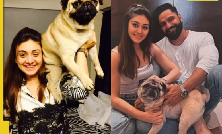 Parag Tayagi Simba de ‘Ma’ Shefali Jarwala llama a un mensaje sincero: ‘Ha pasado un mes …’ Parag Tayagi Simba de ‘Ma’ Shefali Jarwala llama a un mensaje sincero: ‘Ha pasado un mes …’