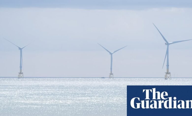 ¿Inclinar en los molinos de viento? Las afirmaciones de Trump sobre las turbinas verificadas por los hechos | Energía eólica