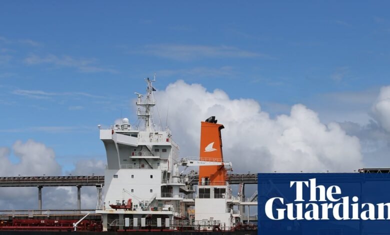 Adani afirma que el programa de exportación respalda la energía sostenible, pero los expertos dicen ‘distorsión intencional’ | Noticias de Australia