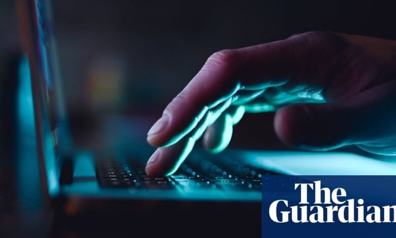 Los partidos políticos tienen grandes cantidades de datos sobre los australianos. Los expertos dicen que es un riesgo creciente | Crimen cibernético Los partidos políticos tienen grandes cantidades de datos sobre los australianos. Los expertos dicen que es un riesgo creciente | Crimen cibernético