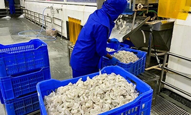 Los compradores estadounidenses tendrán que soportar la carga de la tarifa del 25% de Trump, dicen los exportadores de mariscos Los compradores estadounidenses tendrán que soportar la carga de la tarifa del 25% de Trump, dicen los exportadores de mariscos
