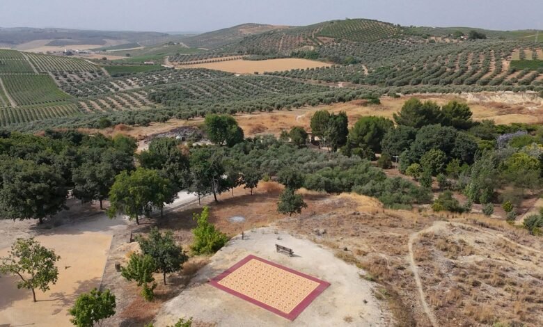 Entre las granjas de cromo andaluza, una alfombra viva crea espacio para la reunión, enorme Entre las granjas de cromo andaluza, una alfombra viva crea espacio para la reunión, enorme