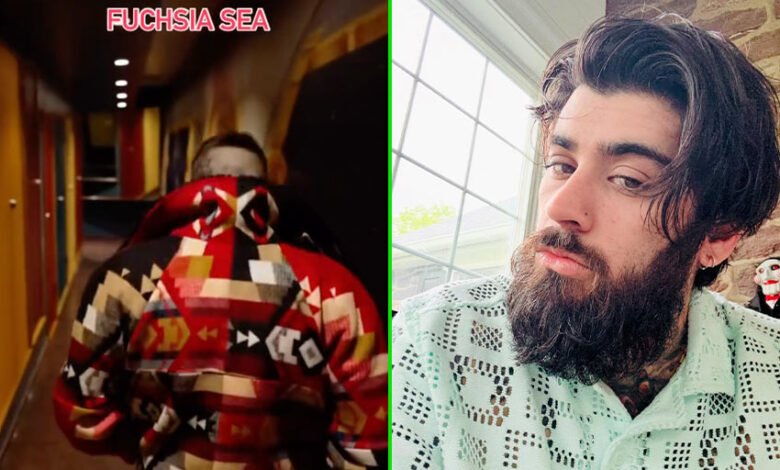 La nueva canción de Zayn Malik muestra que Era One Direction no es … La nueva canción de Zayn Malik muestra que Era One Direction no es …