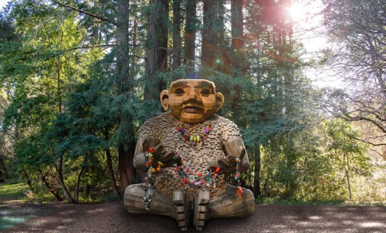 Seis activistas que actúan a través de los bosques de California para “salvar a los humanos” – enorme Seis activistas que actúan a través de los bosques de California para “salvar a los humanos” – enorme
