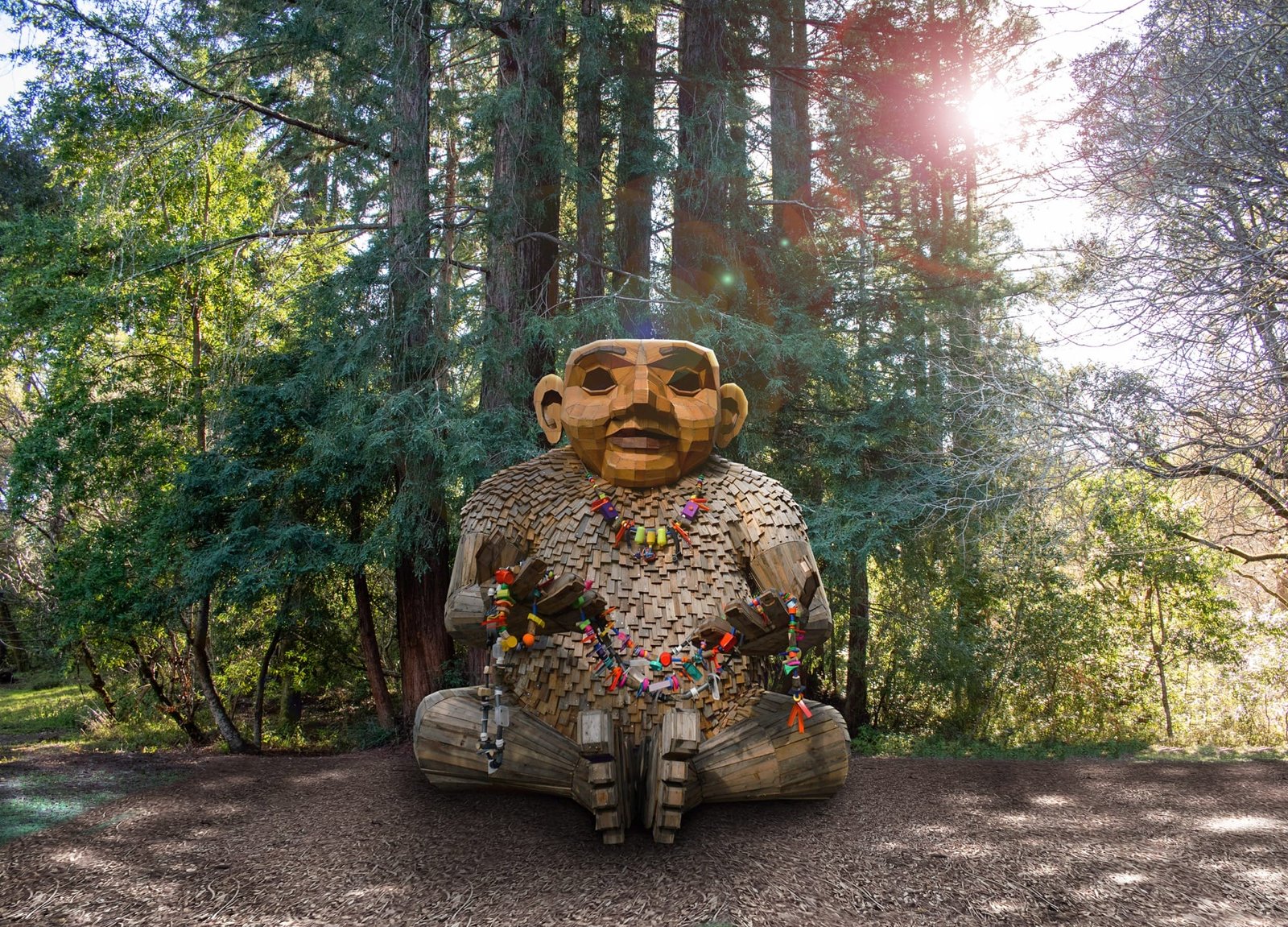 Seis activistas que actúan a través de los bosques de California para “salvar a los humanos” – enorme