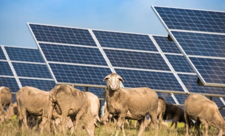 Dos proyectos de energía, dos enfoques muy diferentes para la participación comunitaria