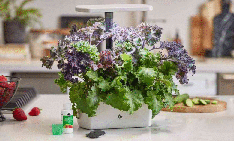 Mejor oferta de jardinería: puntaje la cosecha de Aerogarden para un 60% de descuento en Amazon Mejor oferta de jardinería: puntaje la cosecha de Aerogarden para un 60% de descuento en Amazon