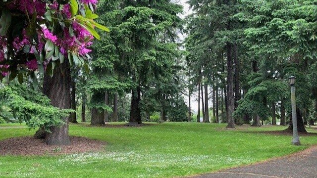 Portlanders votará en el 75% de la subida de los parques después de la aprobación unánime del Ayuntamiento Portlanders votará en el 75% de la subida de los parques después de la aprobación unánime del Ayuntamiento