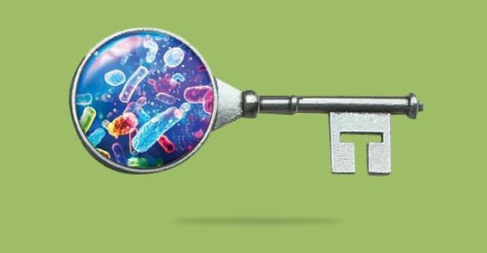 Podcast #1,076: Microbioma Principal Microbiome Key-How para afectar 100 bacterias de bacterias en su peso, estado de ánimo y salud integral Podcast #1,076: Microbioma Principal Microbiome Key-How para afectar 100 bacterias de bacterias en su peso, estado de ánimo y salud integral