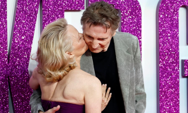 Rumor de Pamela Anderson y Liam Nisson ‘Chemistry Emerging’ Sparks Citas