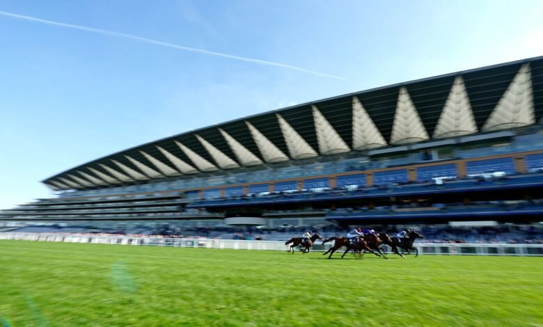 Hoy en Sky Sports Racing: Ascot, Chepstow y Uttoxeter | Noticias de carreras Hoy en Sky Sports Racing: Ascot, Chepstow y Uttoxeter | Noticias de carreras