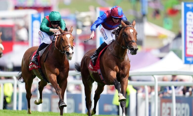 Rey Jorge VI y reina Isabel: Calandagan y Jan Brueghel Clash como parte de Fab Five en Ascot | Noticias de carreras