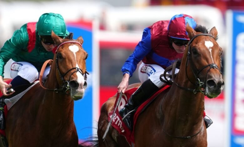 Hoy en Sky Sports Racing: Jan Brueghel y Caastagan Clash en el rey Jorge VI y la reina Elizabeth Stakes Spitepiece | Noticias de carreras Hoy en Sky Sports Racing: Jan Brueghel y Caastagan Clash en el rey Jorge VI y la reina Elizabeth Stakes Spitepiece | Noticias de carreras