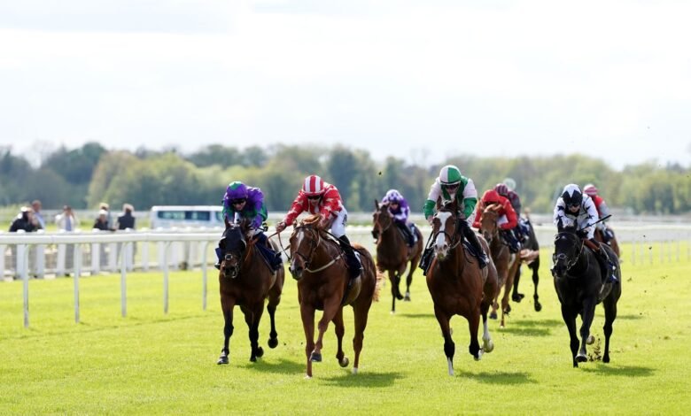 Hoy en Sky Sports Racing: Características de Windsor, Southwell y Yarmouth los lunes negocios | Noticias de carreras