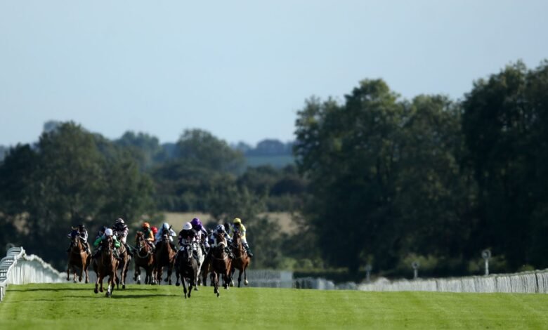 Hoy en Sky Sports Racing: Ripon y FFOS LAS Host Action | Noticias de carreras Hoy en Sky Sports Racing: Ripon y FFOS LAS Host Action | Noticias de carreras