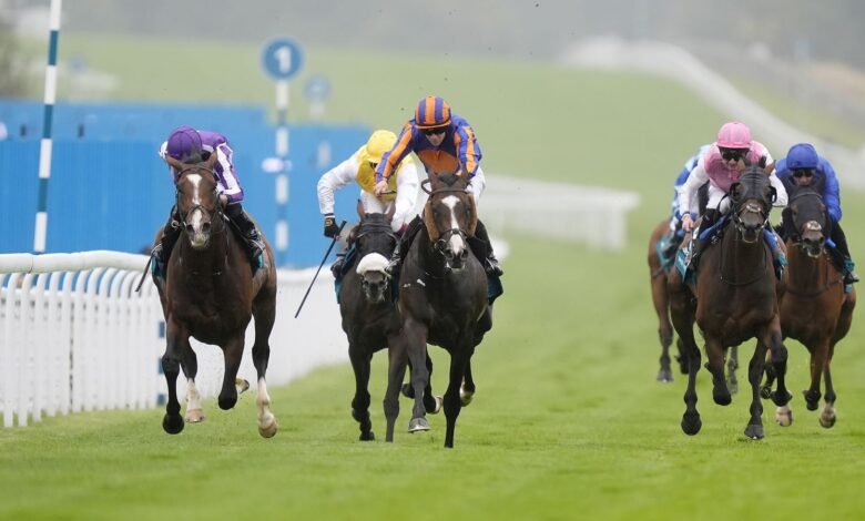 Goodwood Cup: Scandinavia resultó exitosa por una lesión grave por Trueshan en la característica del primer día | Noticias de carreras Goodwood Cup: Scandinavia resultó exitosa por una lesión grave por Trueshan en la característica del primer día | Noticias de carreras