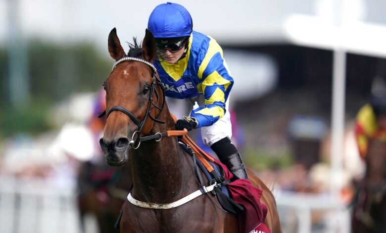 La muerte de Trueshan: Hollie Doyle expresó sus sentimientos por el caballo ‘especial’ después de una lesión mortal en Goodwood | Noticias de carreras