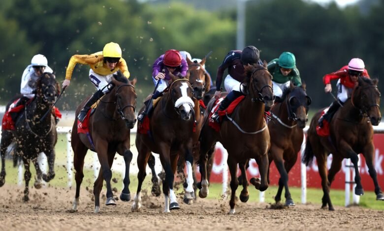 Hoy en Sky Sports Racing: Londres & Male buscan expandir las ventajas de Racing League en Wolverhampton | Noticias de carreras Hoy en Sky Sports Racing: Londres & Male buscan expandir las ventajas de Racing League en Wolverhampton | Noticias de carreras