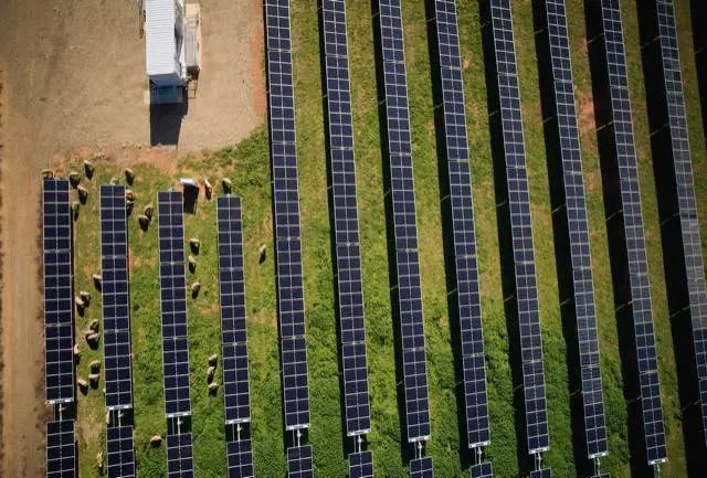 “Podemos hacer eso:” Aemo dice que el sistema de energía se puede ejecutar con energía renovable de 100 pct