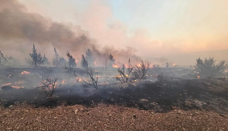 CRAM FIRE AL CONDADO DE JEFFERSON PROPORTA EVACUACIONES DEL NIVEL 3 ‘GO ahora’