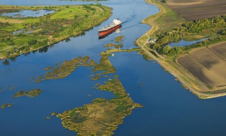 Los reguladores de California presentan dos caminos en el plan de agua del Delta propuesto