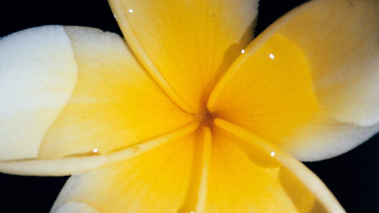 Piense en las palabras y el legado de Joanna Messi el medio ambiente