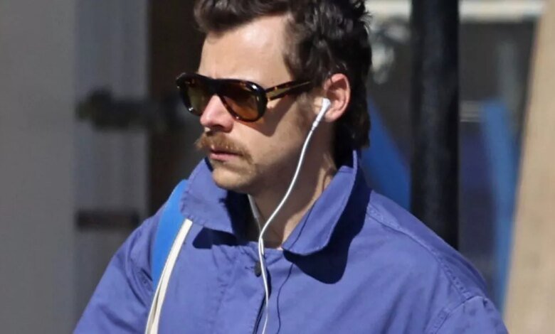 Las nuevas novias de Harry Styles se publican ya que los fanáticos pueden perder fotos de romos cómodos Las nuevas novias de Harry Styles se publican ya que los fanáticos pueden perder fotos de romos cómodos