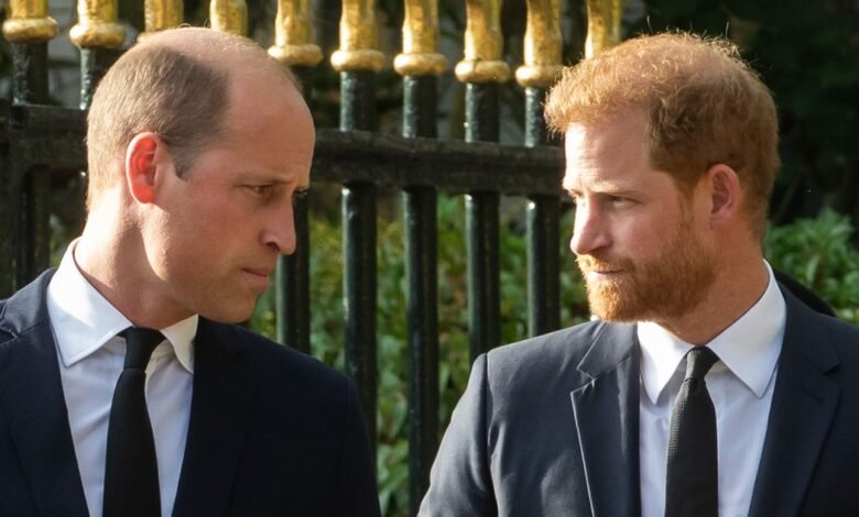 Príncipe William antes de la boda de Meghan Merkel Prince Harry ‘Face’, afirmó Príncipe William antes de la boda de Meghan Merkel Prince Harry ‘Face’, afirmó