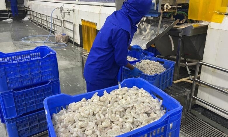 Las exportaciones de mariscos aún están prohibidas en 2024-25 a 7,45 mil millones de dólares. Las exportaciones de mariscos aún están prohibidas en 2024-25 a 7,45 mil millones de dólares.