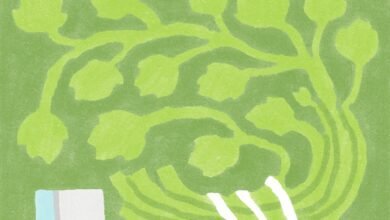 Yu Li Comics From Nature es una invitación para salir y explorar