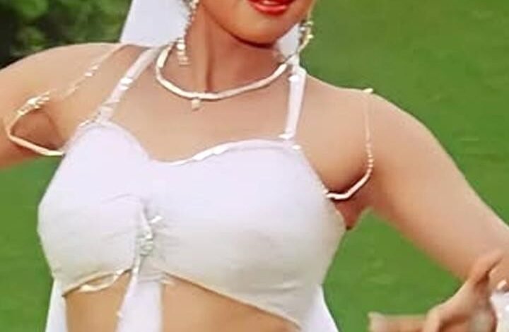 La mejor actuación de Sridevi – Rediff.com Película La mejor actuación de Sridevi – Rediff.com Película