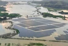 “La prueba más alta:” La granja solar de Nueva Zelanda a través de la gran inundación.