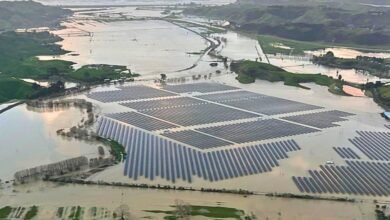 “La prueba más alta:” La granja solar de Nueva Zelanda a través de la gran inundación.
