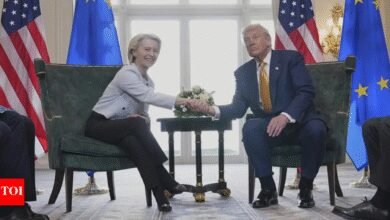 Negociaciones comerciales de la Unión Europea: Estados Unidos: Europa para detener las represalias después del acuerdo de Trump; Se espera que tenga seis meses.