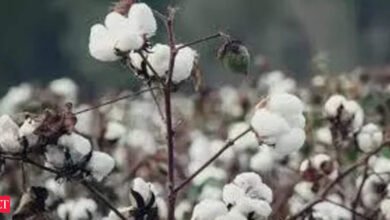 El sector textil exige que el gobierno deje el 11% del impuesto de importación.