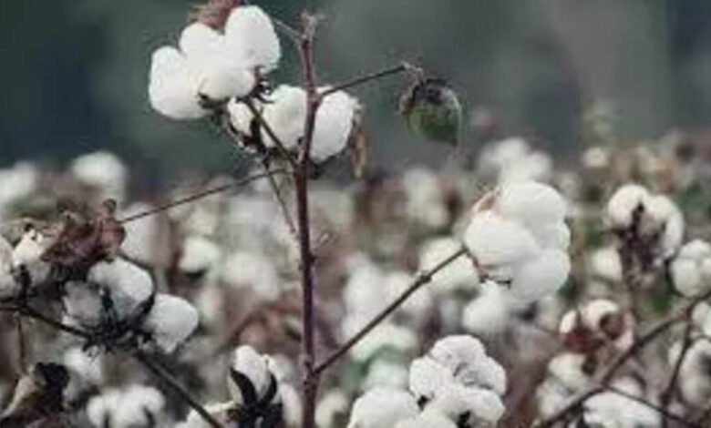 El sector textil exige que el gobierno deje el 11% del impuesto de importación. El sector textil exige que el gobierno deje el 11% del impuesto de importación.