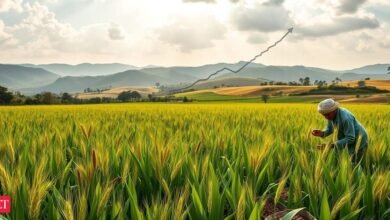 El gobierno de Uttar Pradesh proporcionará equipos agrícolas que reciban subsidios a los agricultores.