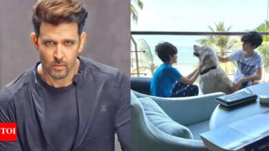 La lujosa casa de Juhu del actor de ‘War 2’ Hrithik Roshan está llena de arte, juegos y toque personal; Sea – Diseño inspirado agrega encanto – Fotos | Noticias de la película hindi