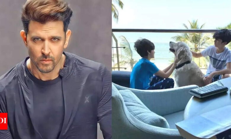 La lujosa casa de Juhu del actor de ‘War 2’ Hrithik Roshan está llena de arte, juegos y toque personal; Sea – Diseño inspirado agrega encanto – Fotos | Noticias de la película hindi La lujosa casa de Juhu del actor de ‘War 2’ Hrithik Roshan está llena de arte, juegos y toque personal; Sea – Diseño inspirado agrega encanto – Fotos | Noticias de la película hindi