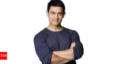 Amir Khan ha publicado ‘Sita’s Bail’ en YouTube; Neeraj Pandey dice que los cineastas deben demostrar su valía todos los viernes Hindi Movie News
